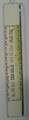 Plastic Lulav Holder Pri Etz Hadar Yellow  (L-LPLB11)