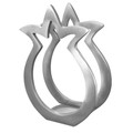 Aluminum Napkin Holder Pomegranate Shape (EM-NHM1)