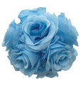 6" Rose Ball, Multiple Colors - Pack of 12 (CLA-20160217)