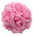 4" Rose Ball, Multiple Colors - Pack of 12 (CLA-20160218)