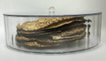 Lucite Round Matzah Box with Cover Large (P-MBXL)