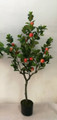 Apple Tree - Small Apples