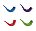 Real Looking Colored Plastic Shofar  (SH-SHPLCLR)