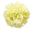 9" Peony flower balls (CLA-2017241)