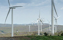 Photo of Wind Turbines.