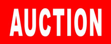Auction Banner