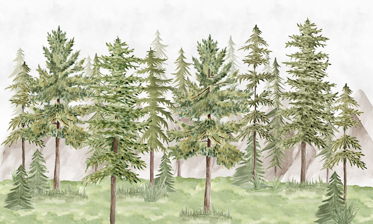 Pine Christmas Tree Stencil - Reusable Color, Draw, Paint Custom