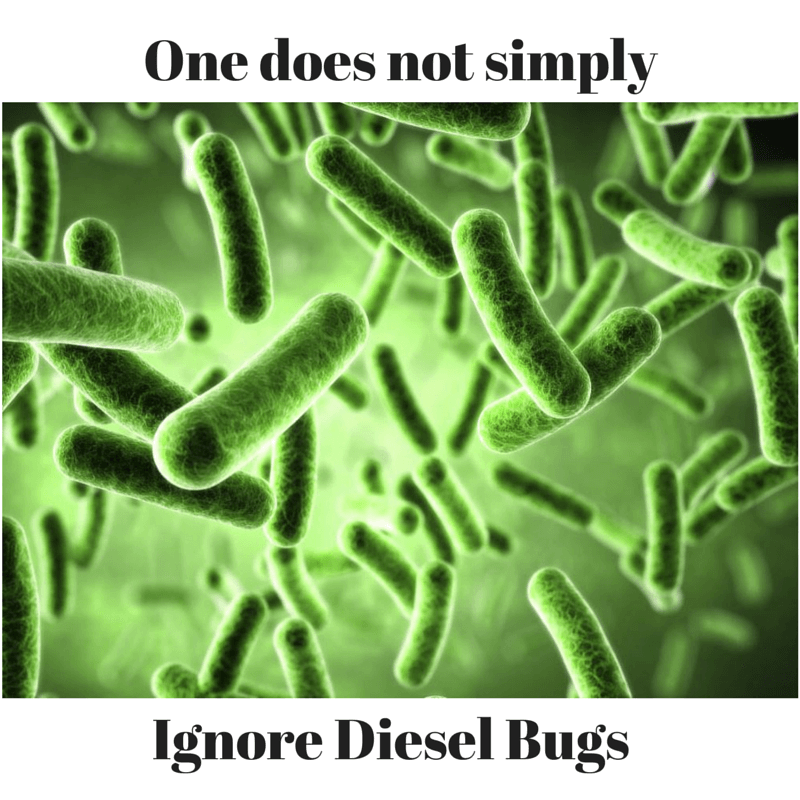 diesel-bug-bacteria-1-.png