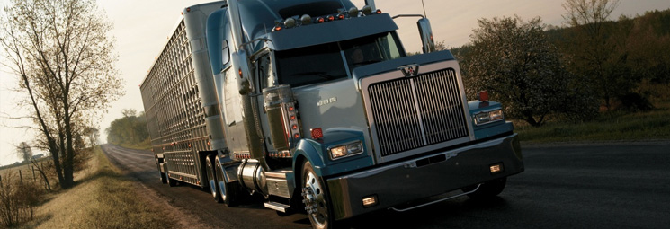 Western Star Truck Parts Accessories For Sale Online