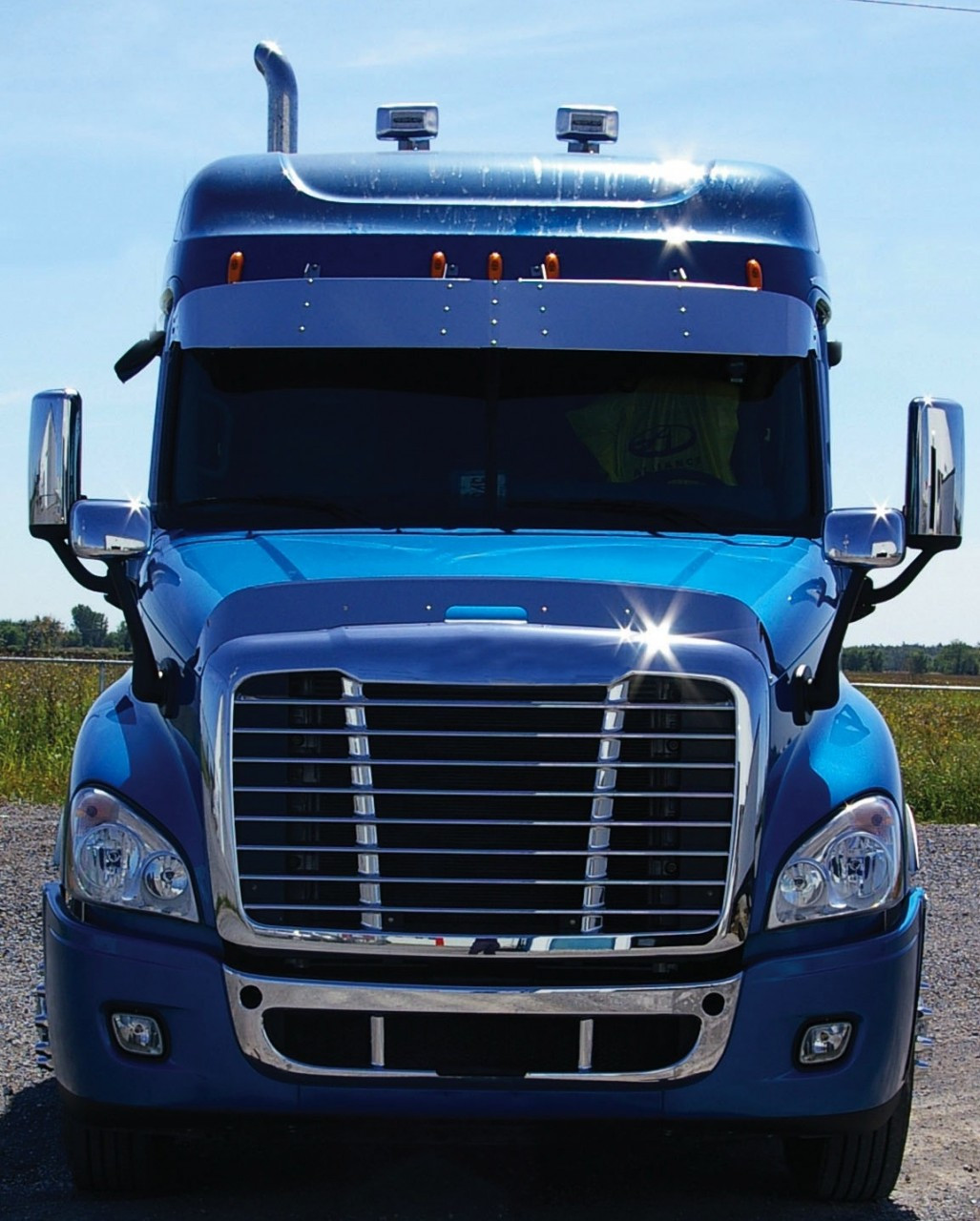 freightliner cascadia bug deflector