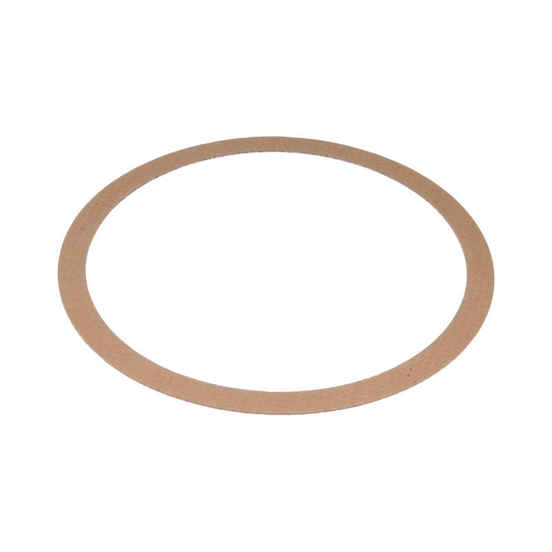 International Diesel Particulate Filter Gasket 2594129C1 Raney's