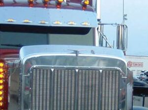 peterbilt 379 bug shield