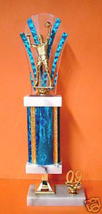 Shown With F342 Male Volleyball Figure, BD31B Blue Backdrop, Blue Column, and 2009 Gold Trim