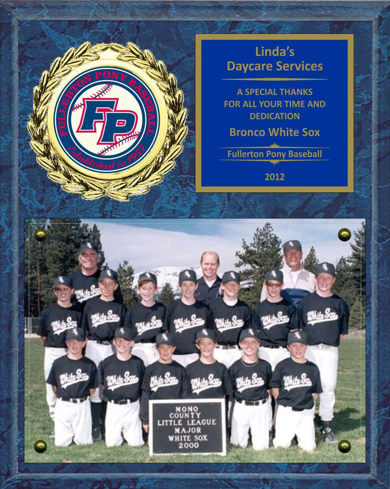 8 x 10 photo sponsor coach team mom appreciation plaque lg