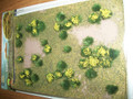 JTT Scenery Products HO Scale Flowering Meadow Yellow #95605