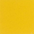 Tru Color - VIA Rail Yellow