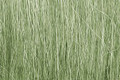 Woodland Scenics Field Grass Light Green - 8 g  #173