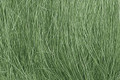 Woodland Scenics Field Grass Medium Green - 8 g #174
