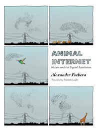 Animal Internet - Paperback