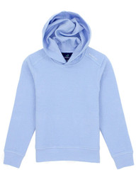 Properly Tied Powder Blue Palmetto Hoodie