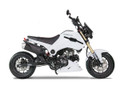 125cc Moped Motorcycle Scooter - Ducati Honda Grom Clone Scooter (ICEBEAR)