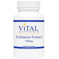 Designs for Health, Formula: VNEC - Echinacea Extract 500mg 60 Vegetarian Capsules