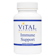 Designs for Health, Formula: VNIS - Immune Support 60 Vegetarian Capsules