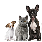 Category:  Pet Supplements