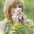 Health Concern:  Allergy & Sinus