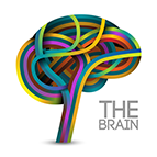 Health Concern:  Brain & Neurological