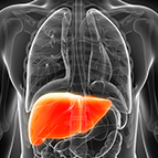 Health Concern:  Liver Support
