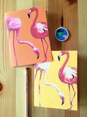 Super fun Flamingo notebooks.