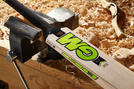 Gunn & Moore Zelos II L555 DXM 606 Cricket Bat - 2021 Edition