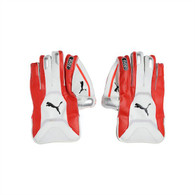 Puma EVO 2  Wicket Keeping Gloves