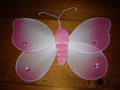 Pink and White Butterfly