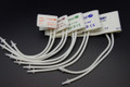 Double Hose Neonate Blood Pressure Cuffs for Veterinary Use, 5 size available, WITH PHLIPS NEONATE CONNECTOR 