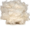 Kapok Fiber