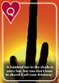 ALL ABOUT ARIZONA