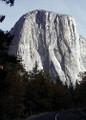 BEAUTY OF THE WEST