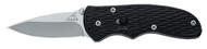 Gerber 22-41526 Mini Fast Draw Spring Assisted Knife, Fine Edge