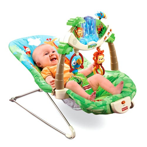 fisher price 2 in 1 bouncer