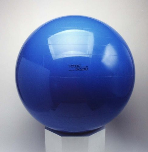Amazon.com: Gymnic Body Ball 65 - Body Ball, Blue : Sports