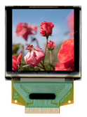 OLED 1.50" Full Color Display