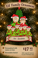 Elf Family 8