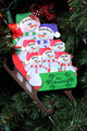 Sled 7 People