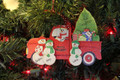 Truck Taking Home the Tree Family of 4