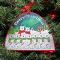 Polar Bears for Family of 9