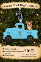 Boston Terrier