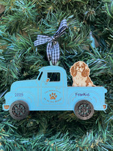 Cavalier KIng Charles