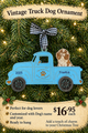 Cavalier King Charles